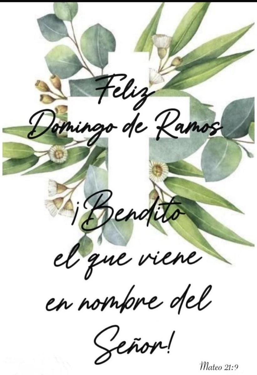 Ana Llanos tweet media