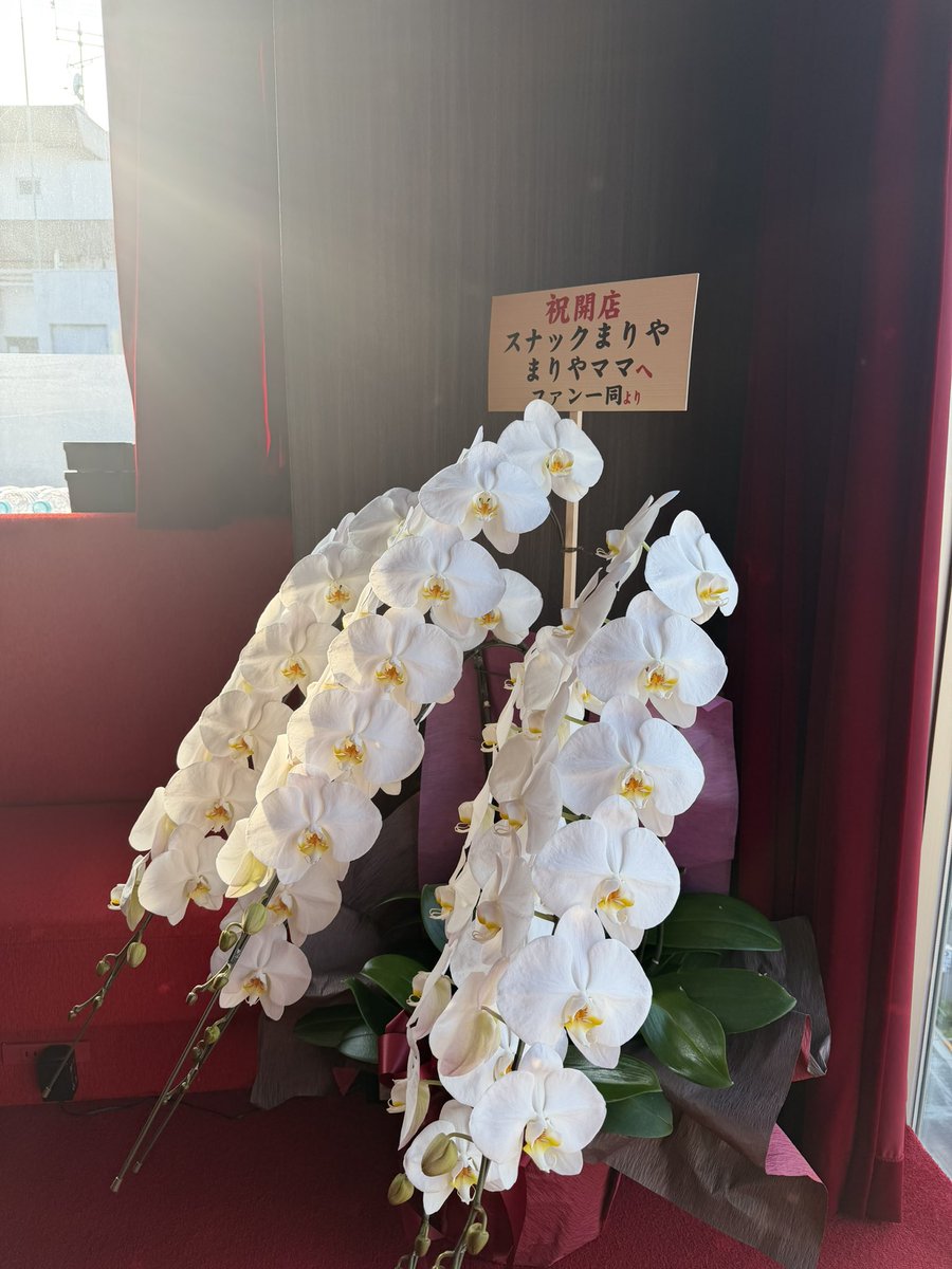 永尾まりや tweet media