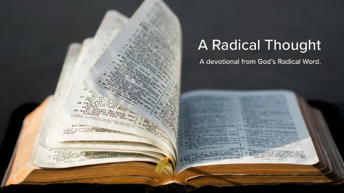 ARadicalThought's tweet photo. If God truly is God, then only He can tell me how to worship Him. A Radical Thought on Deuteronomy 12:4 - https://t.co/7k0s6E2i4q https://t.co/285aPefVVf