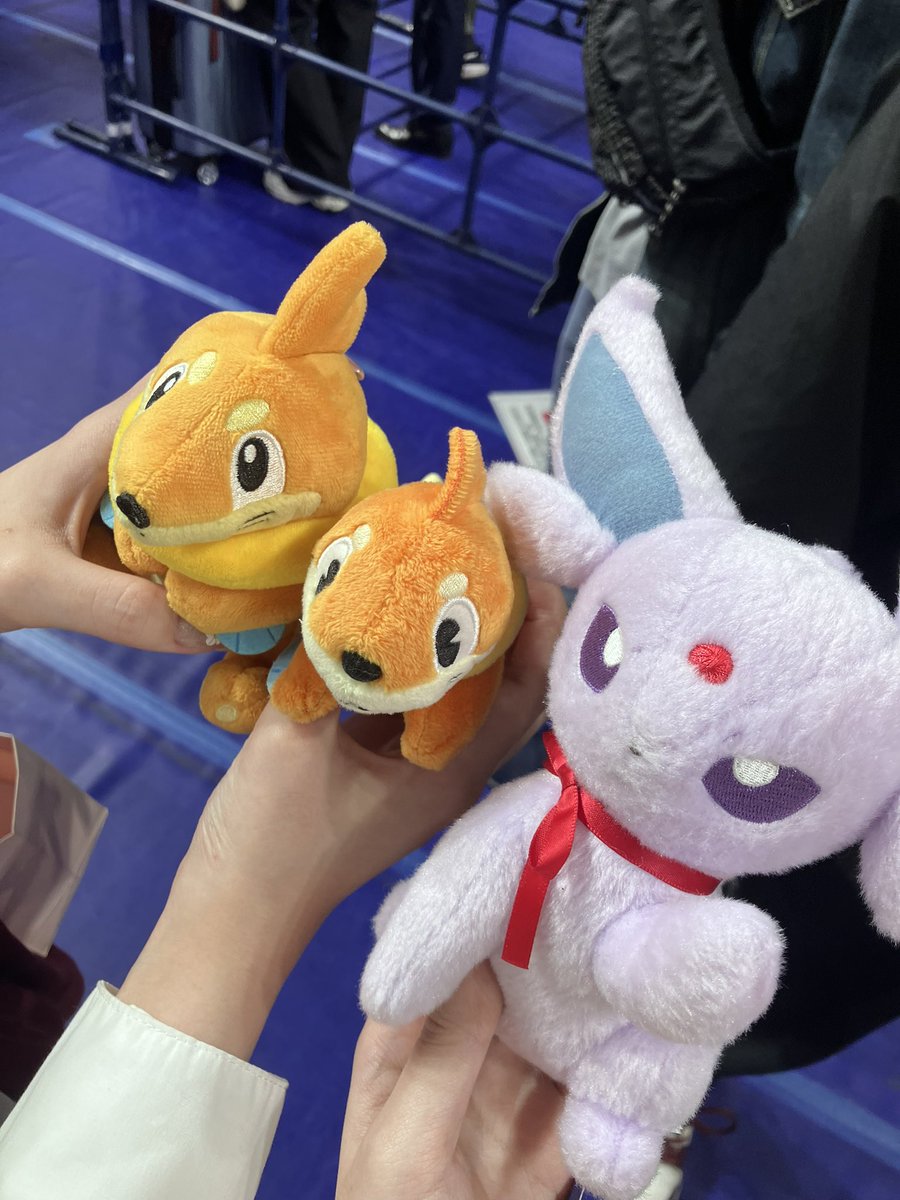 たんまる tweet media