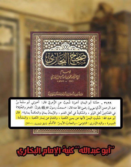 ‏أصل العرب 🇸🇦 tweet media