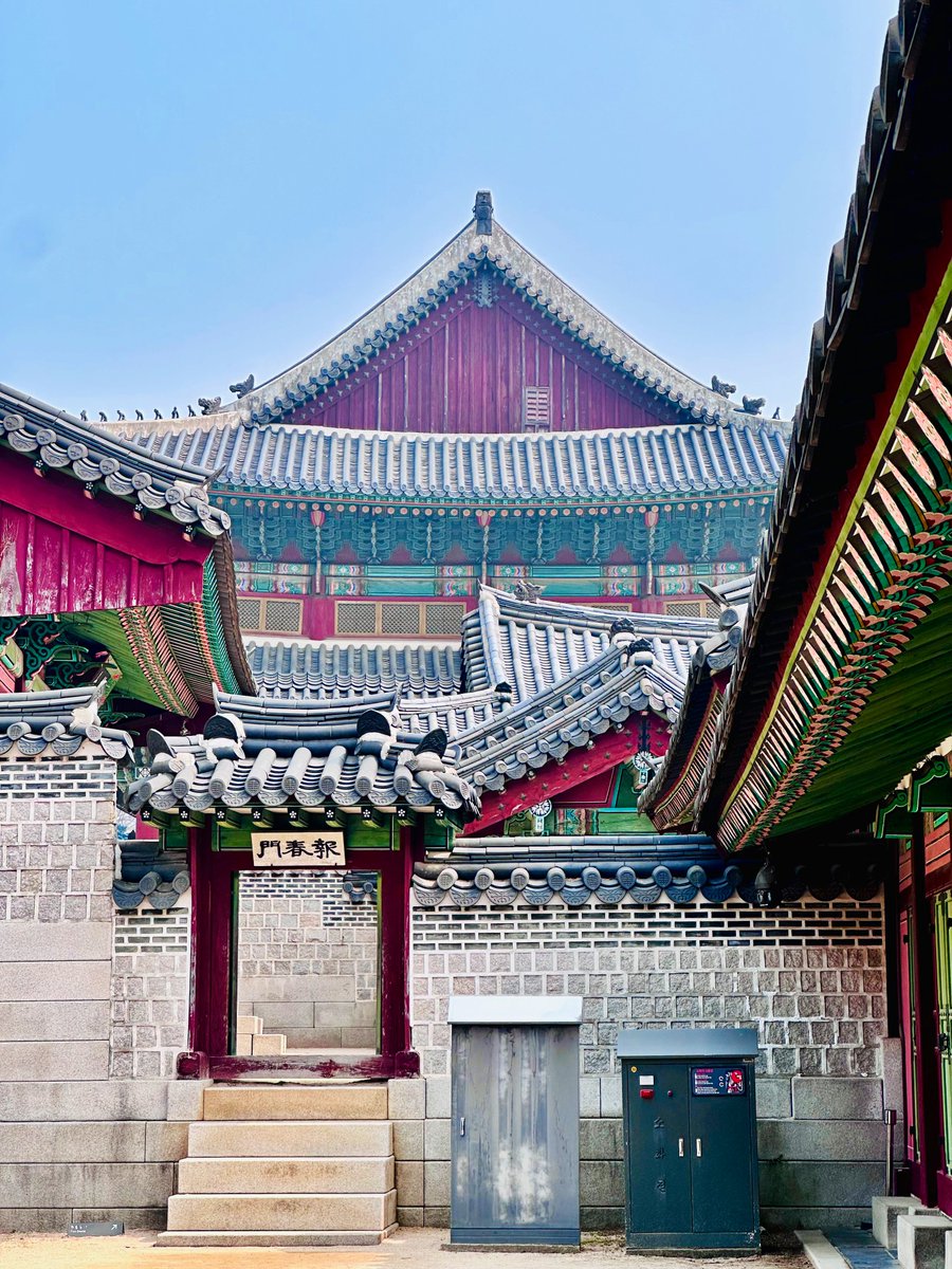 창덕궁 홍매화 구경