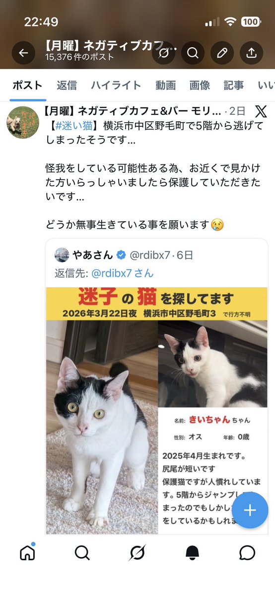 【月曜】ネガティブカフェ&バー モリオウチ　【火水木金土日】個室ミニ水そうカフェ＆バー モリオウチ tweet media