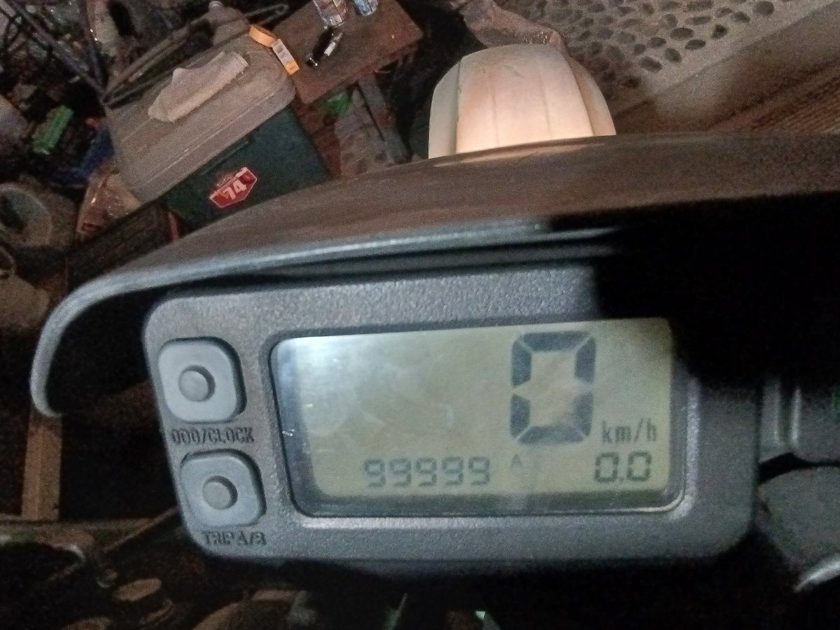 ニシム・ラディン tweet media