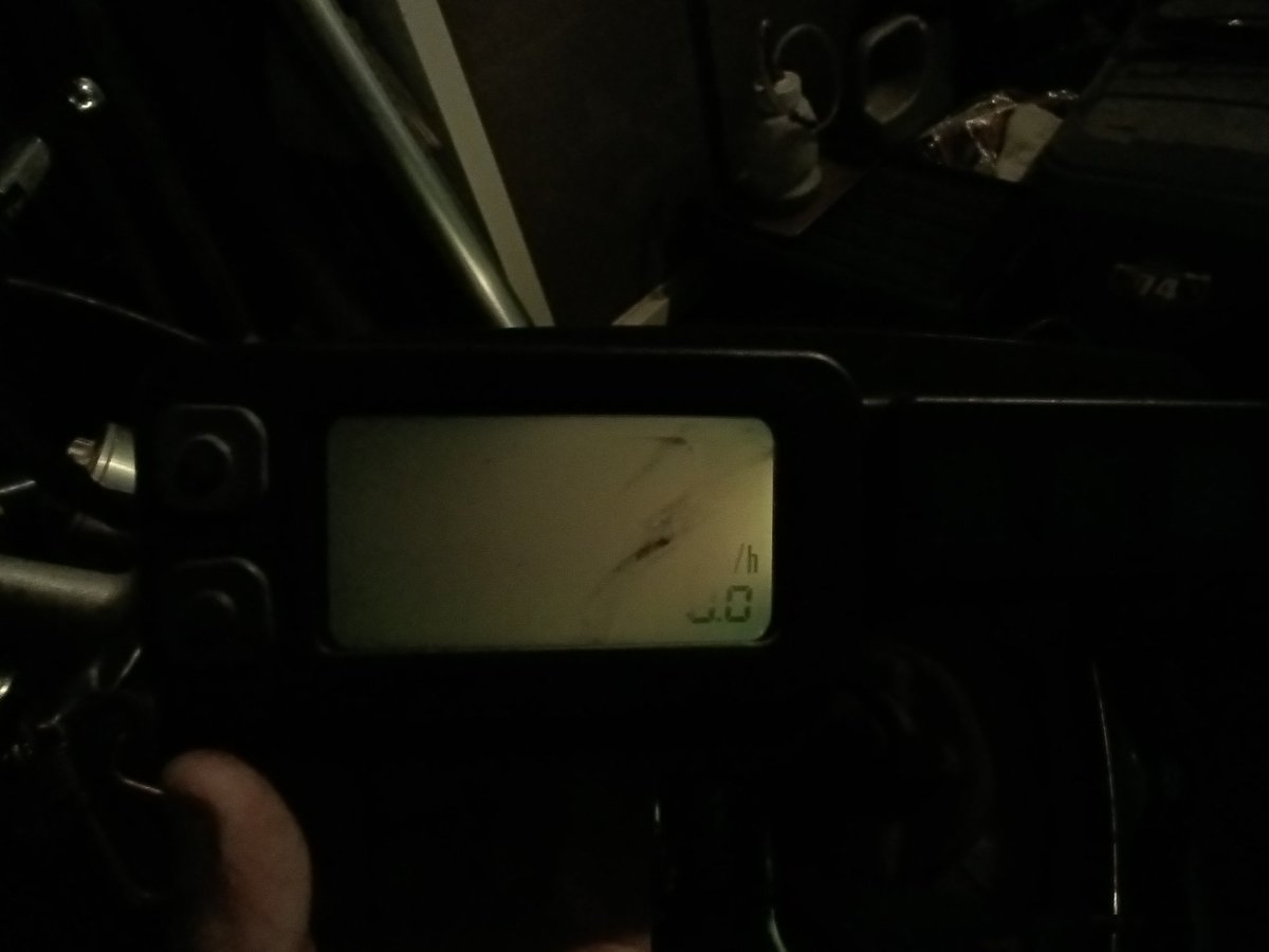 ニシム・ラディン tweet media