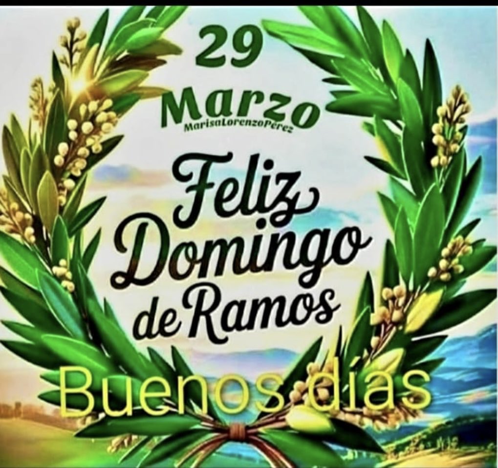 Ana Llanos tweet media