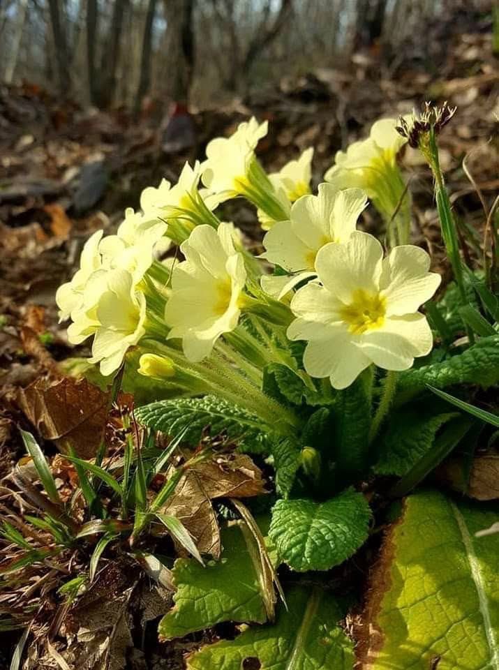 𝑀𝒶𝓇𝒾 𝒟𝒶𝓎𝓈𝒾 tweet media