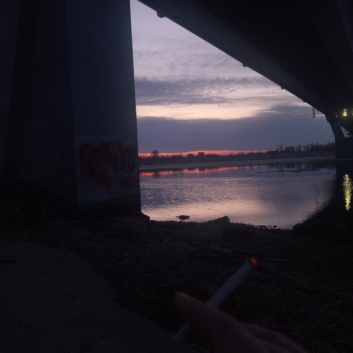 элин tweet media