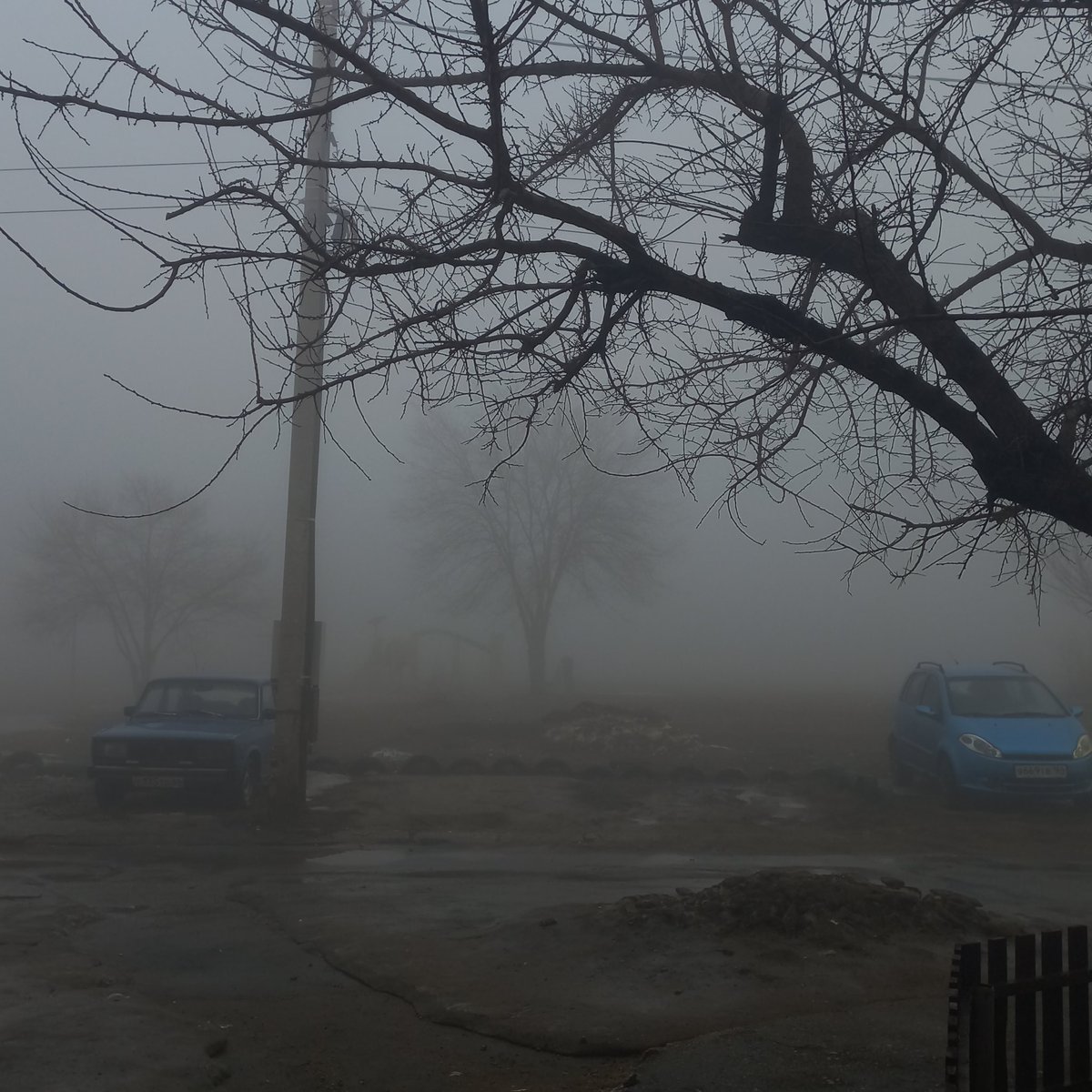 элин tweet media