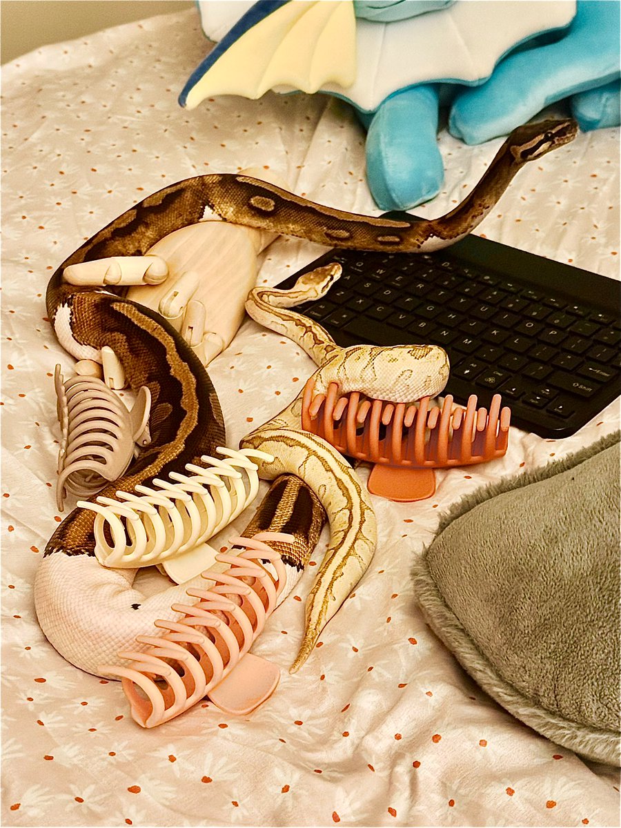 Bromaah 🔥 tweet media