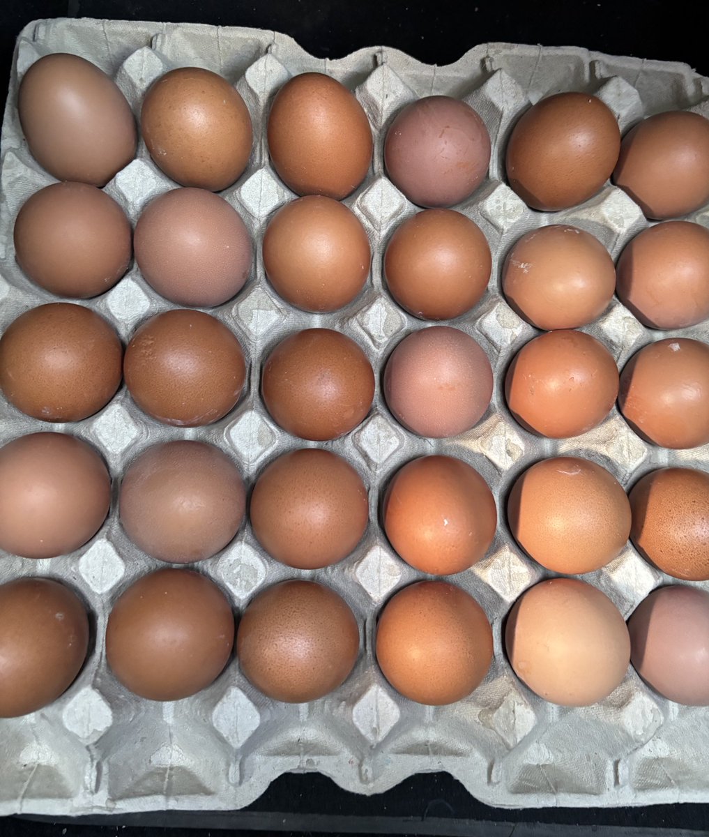 Lennart🇩🇪 tweet media