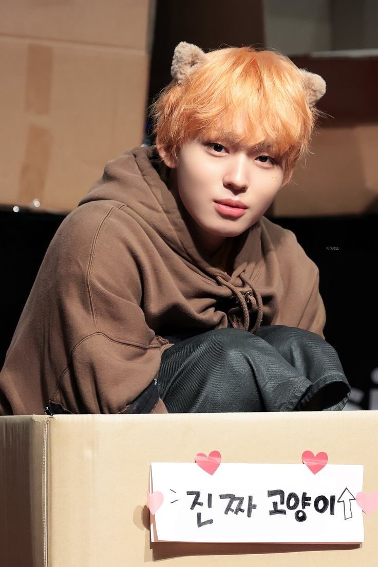 이오!! tweet media