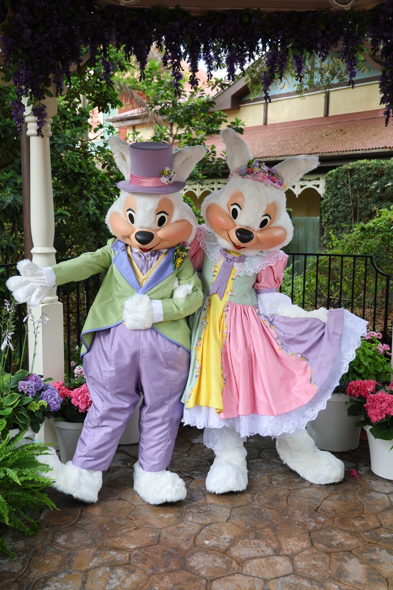 ディズニーワールドファン.JP tweet media