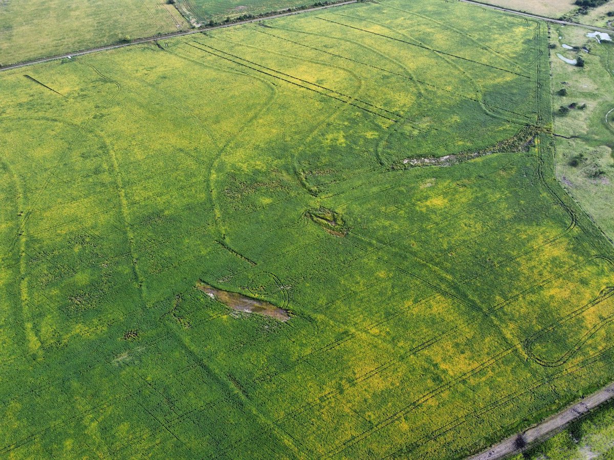 Renzo Basso 🌽🌾🌱🚜📸 tweet media