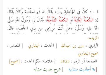 ‏أصل العرب 🇸🇦 tweet media