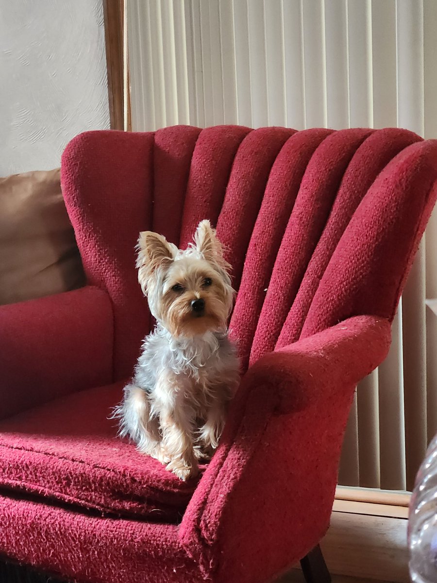 The Man With No Name tweet media