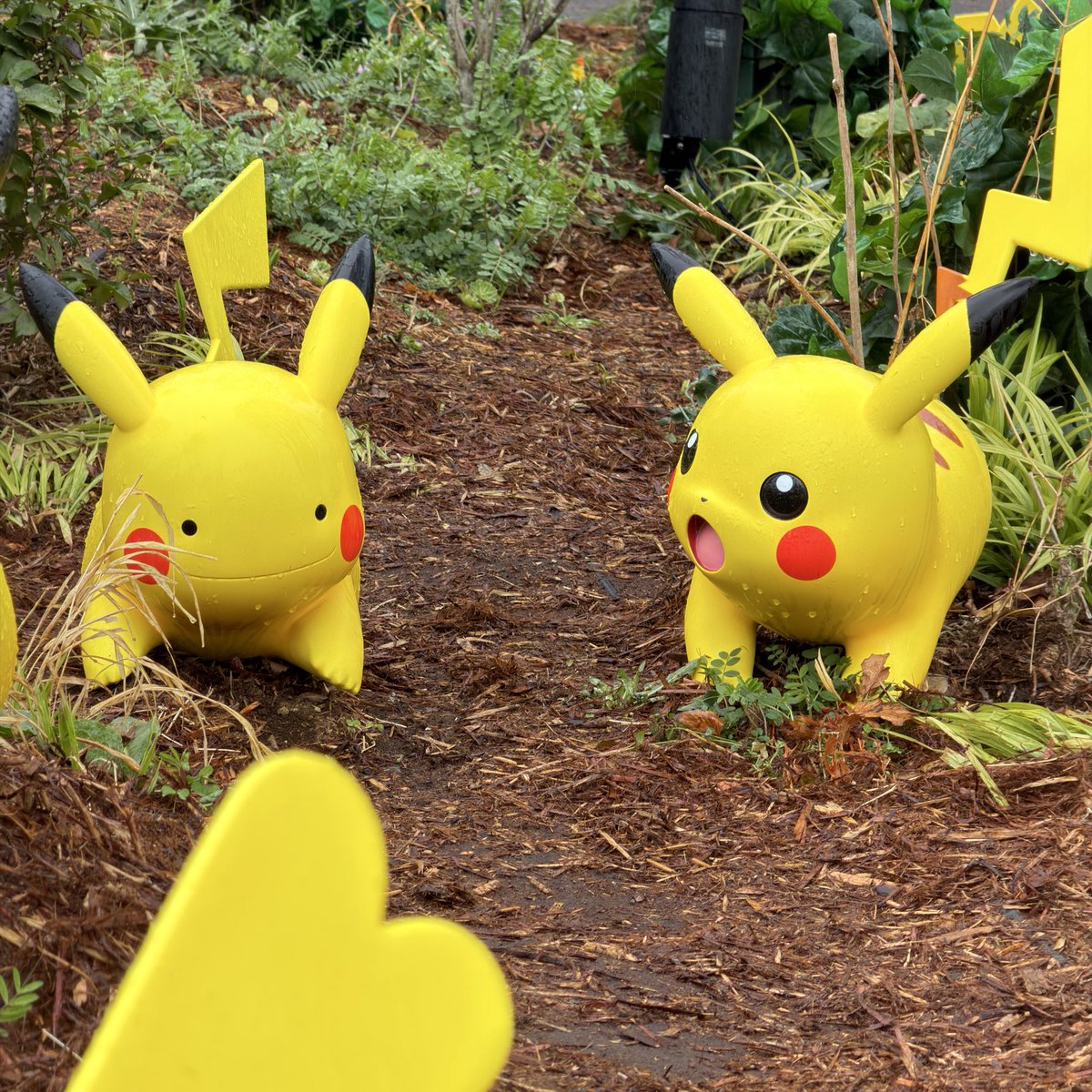 すいかさま tweet media