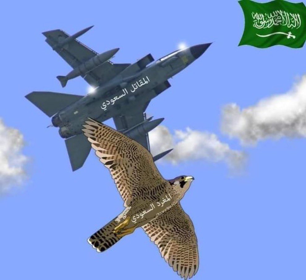 علي العنزي #من_اجل_الوطن tweet media