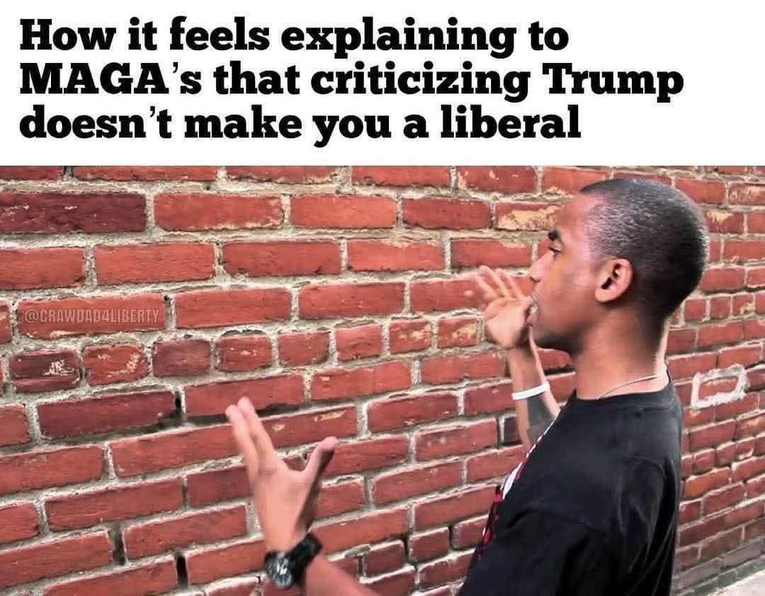 Libertarian Party of Pinellas County tweet media