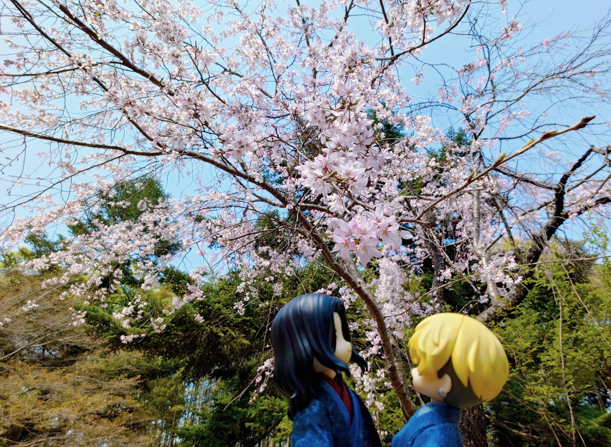 あずさ tweet media