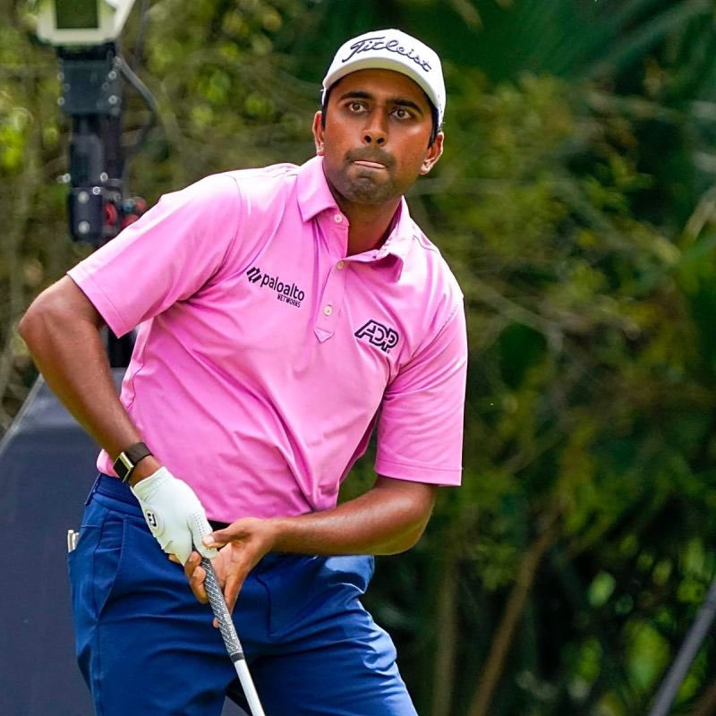 Pat Mayo tweet media