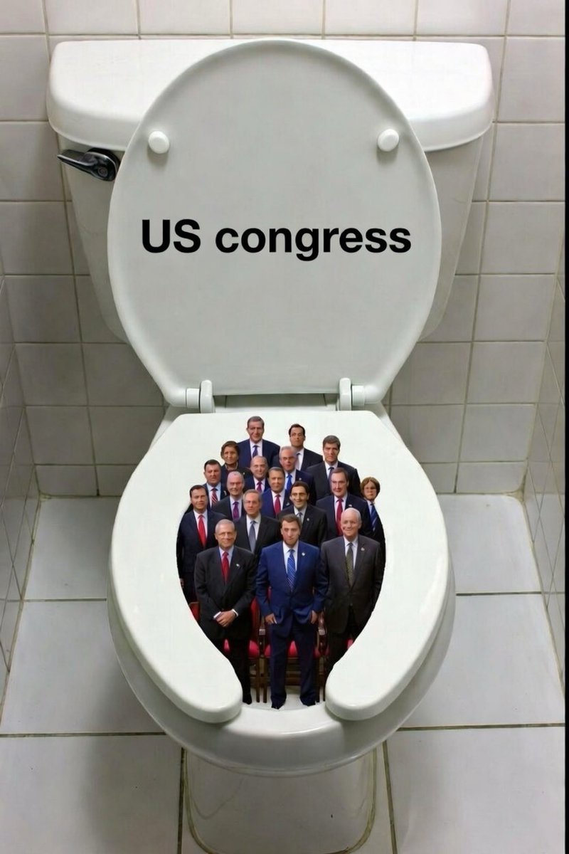 AvaArmstrong,🇺🇸 Author tweet media