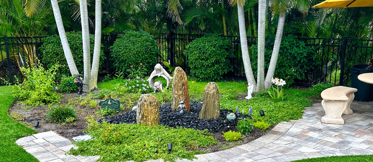 Skip Cohen tweet media