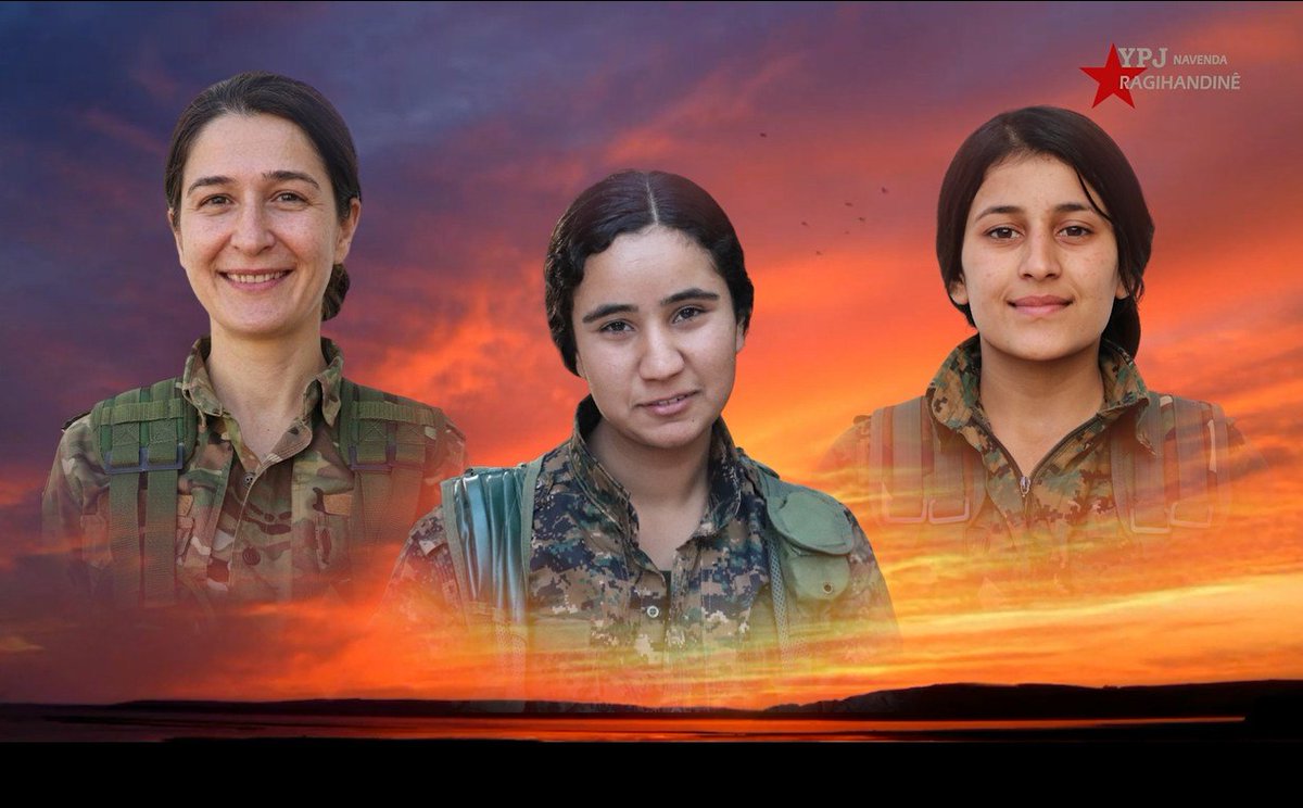 YPJ Information & Documentation Office tweet media