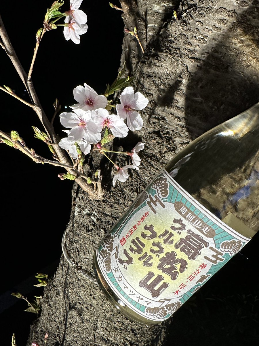 ばしょく おもたん_4/18丹沢ボッカチャレンジ（タイムアタック） tweet media