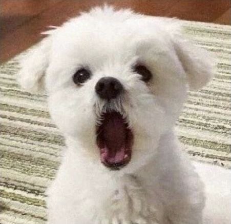 𝓻𝓾𝓶 tweet media