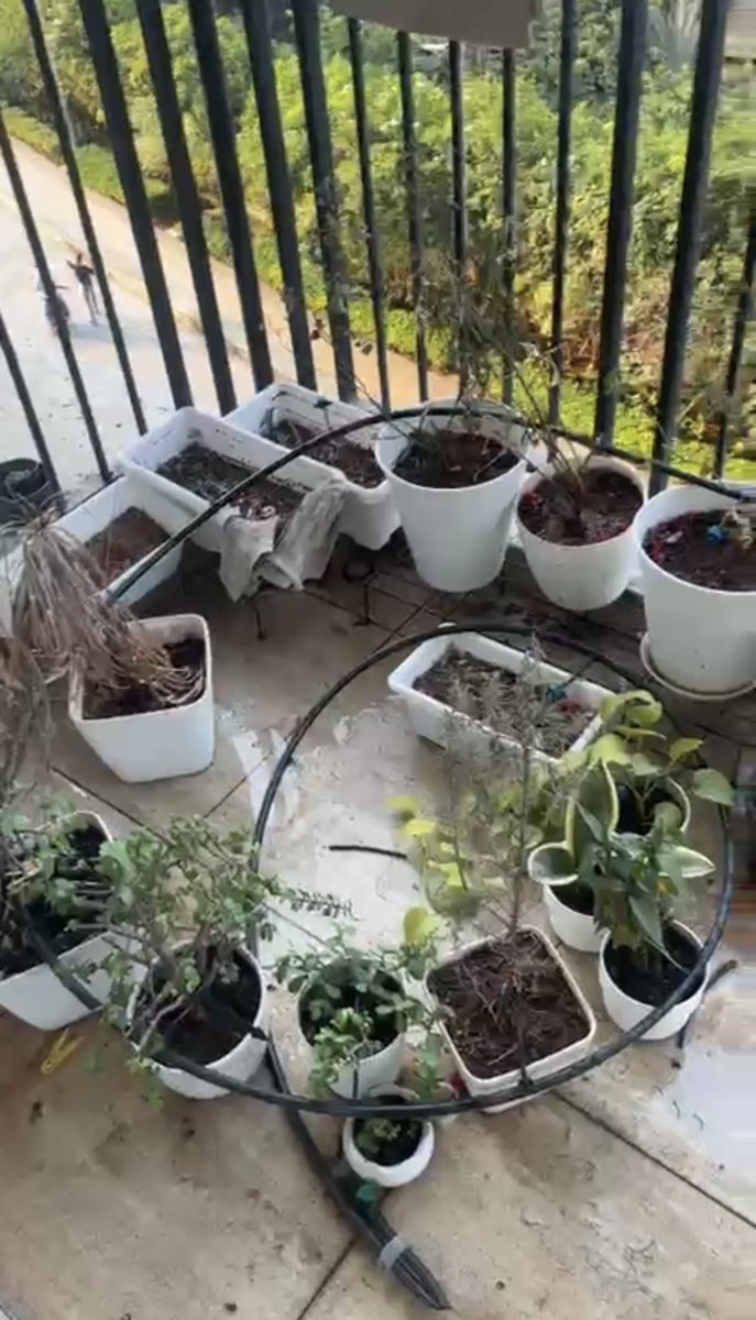 Ritu Joon tweet media