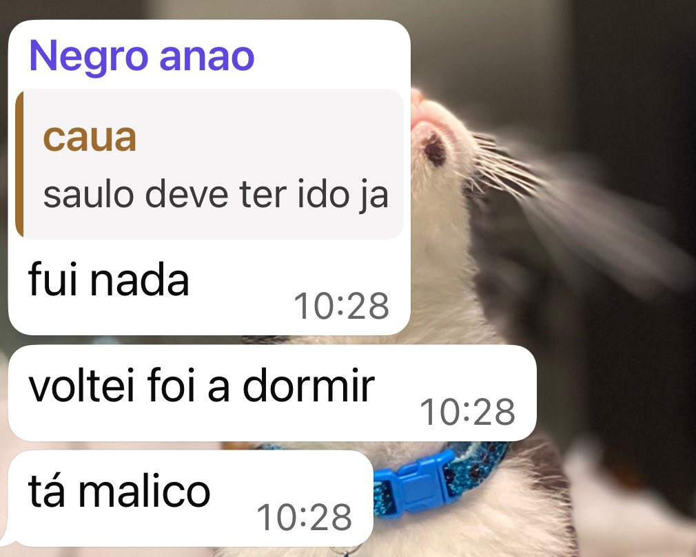 davas 💻 tweet media