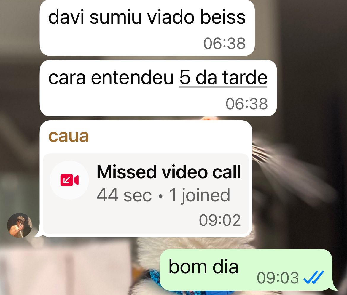 davas 💻 tweet media