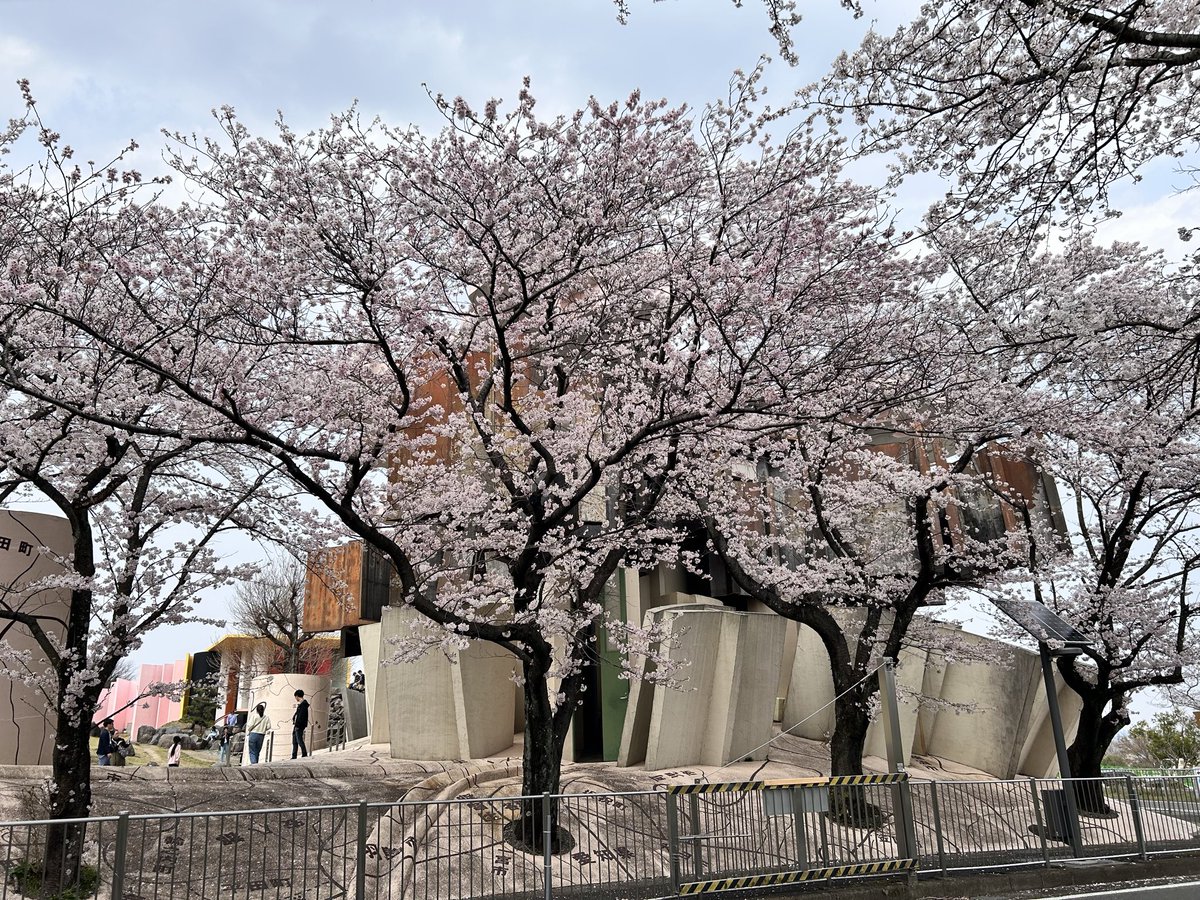 かみしたともや tweet media