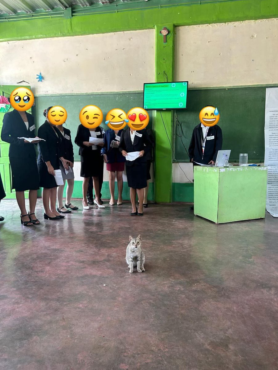 mga pusa sa daan tweet media