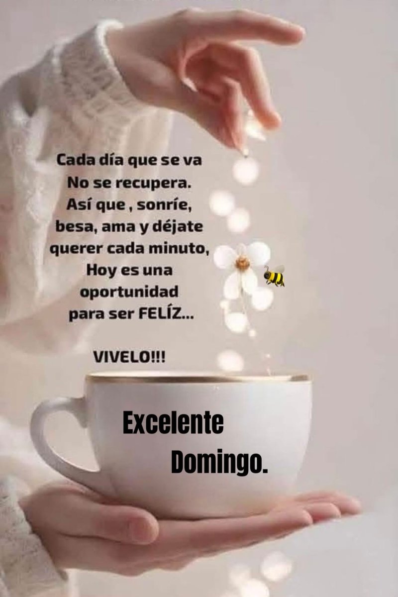 Martínez Guzmán tweet media