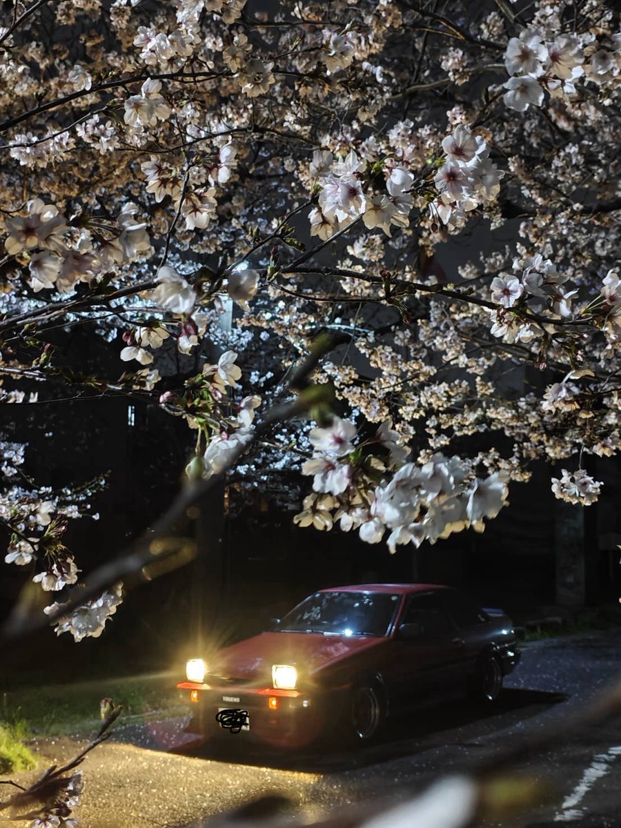 torako-DX tweet media