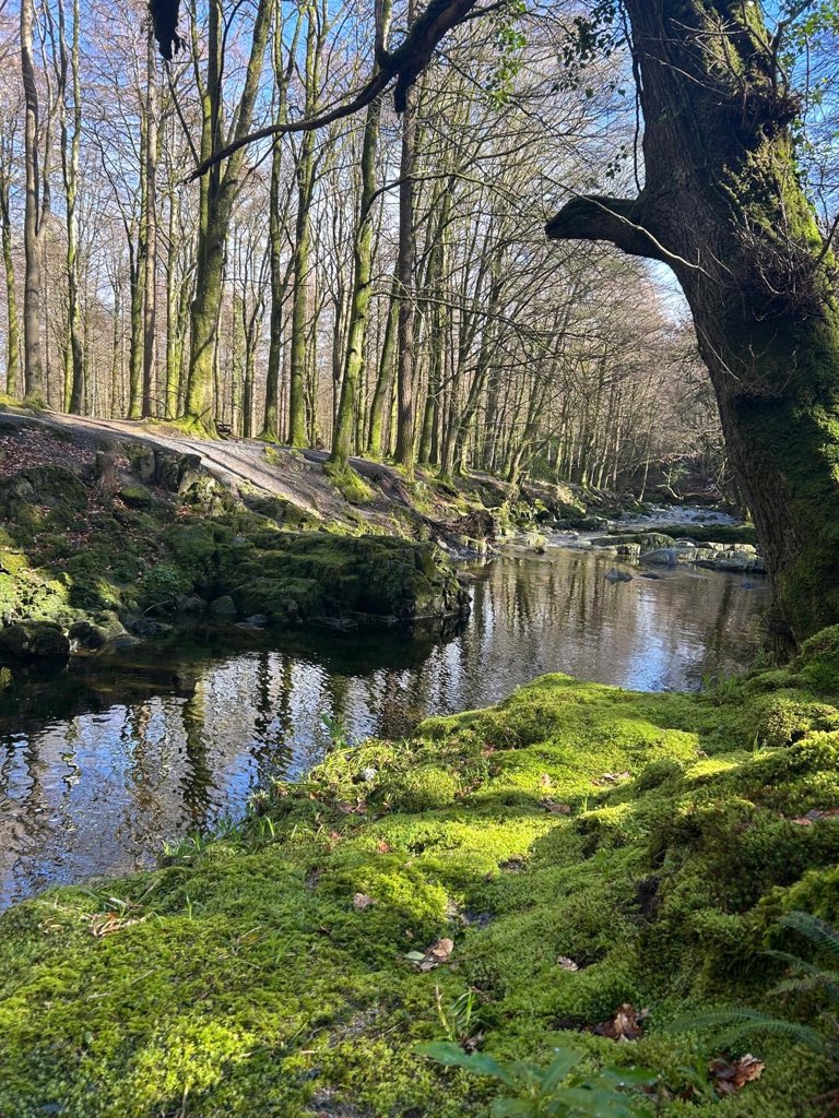 Tony Mallon tweet media