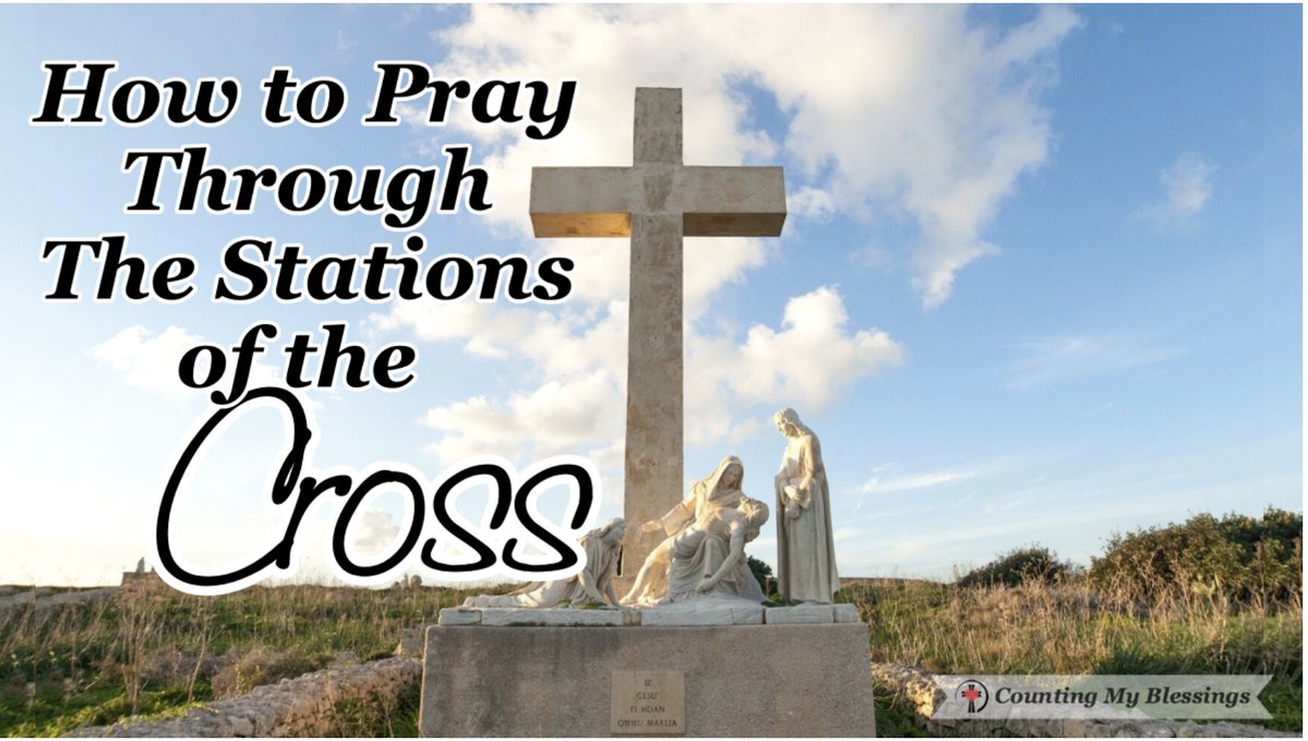 Deb Wolf tweet media