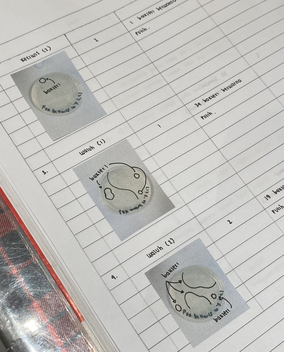 syaikha 🍅⭐️ free tag tweet media