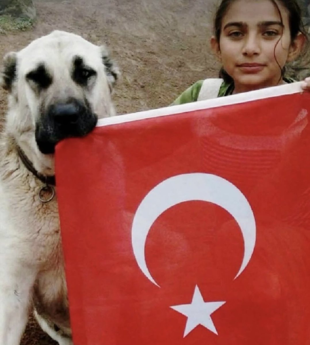 §ǝm̷æ tweet media