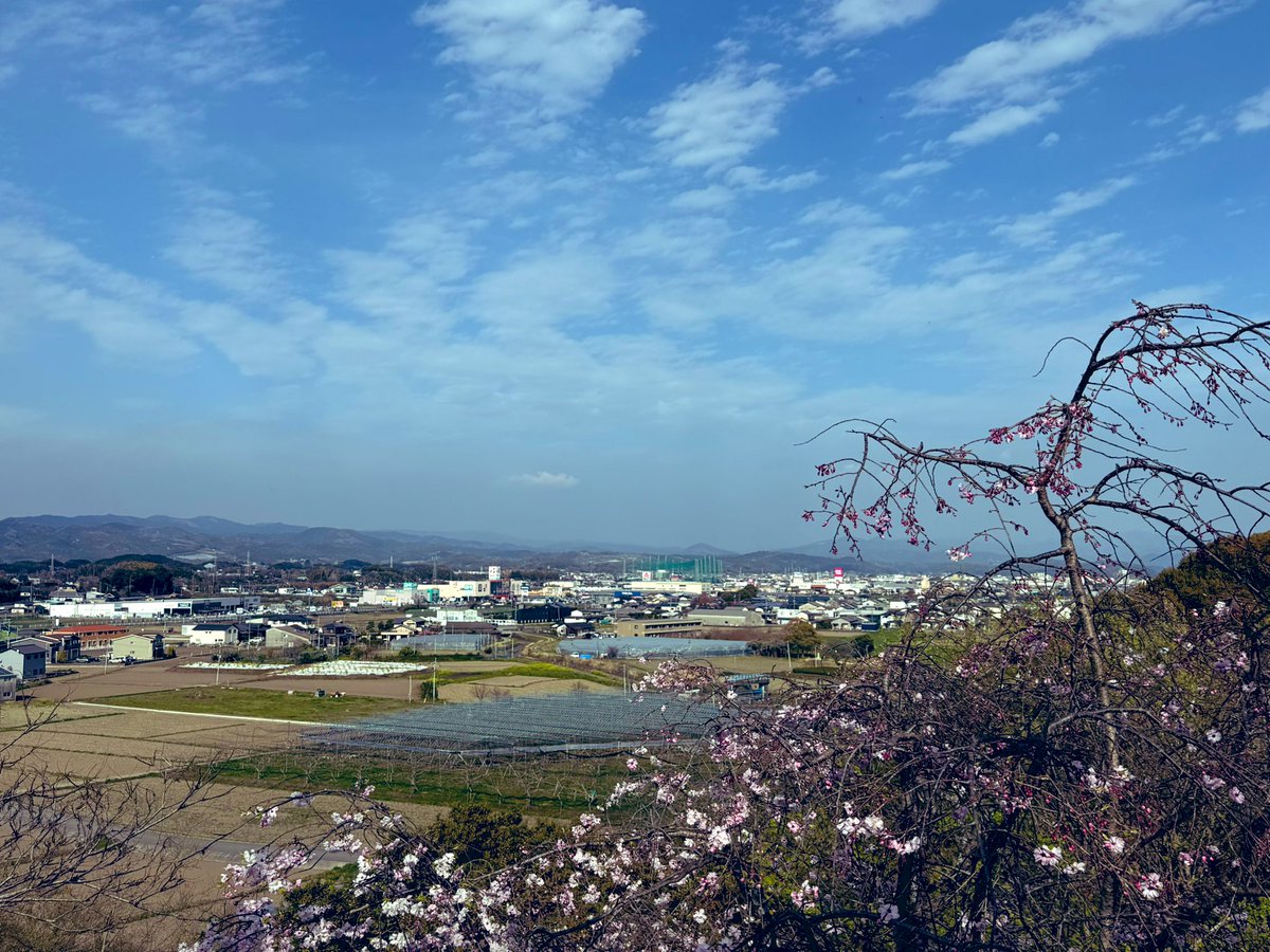 Rika 🐸日英Podcast配信中 tweet media