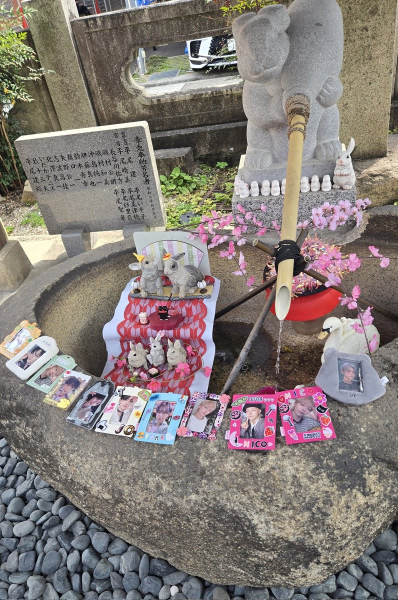 さあちゃん🍓 tweet media