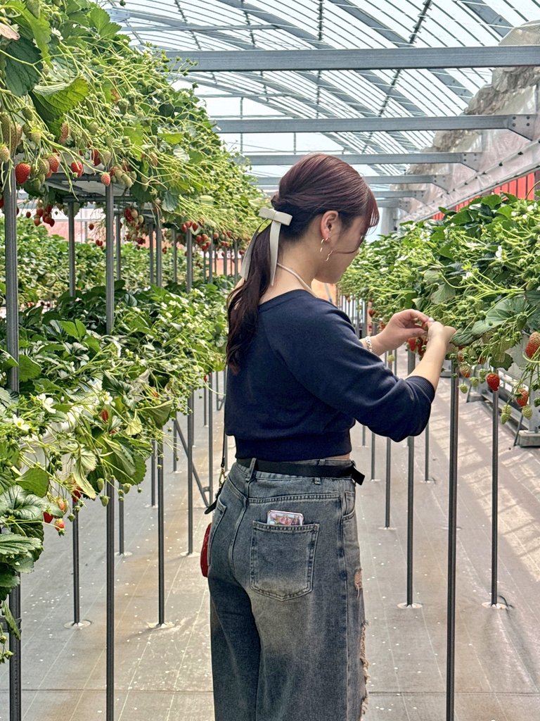 MikI(❁´ω`❁) tweet media