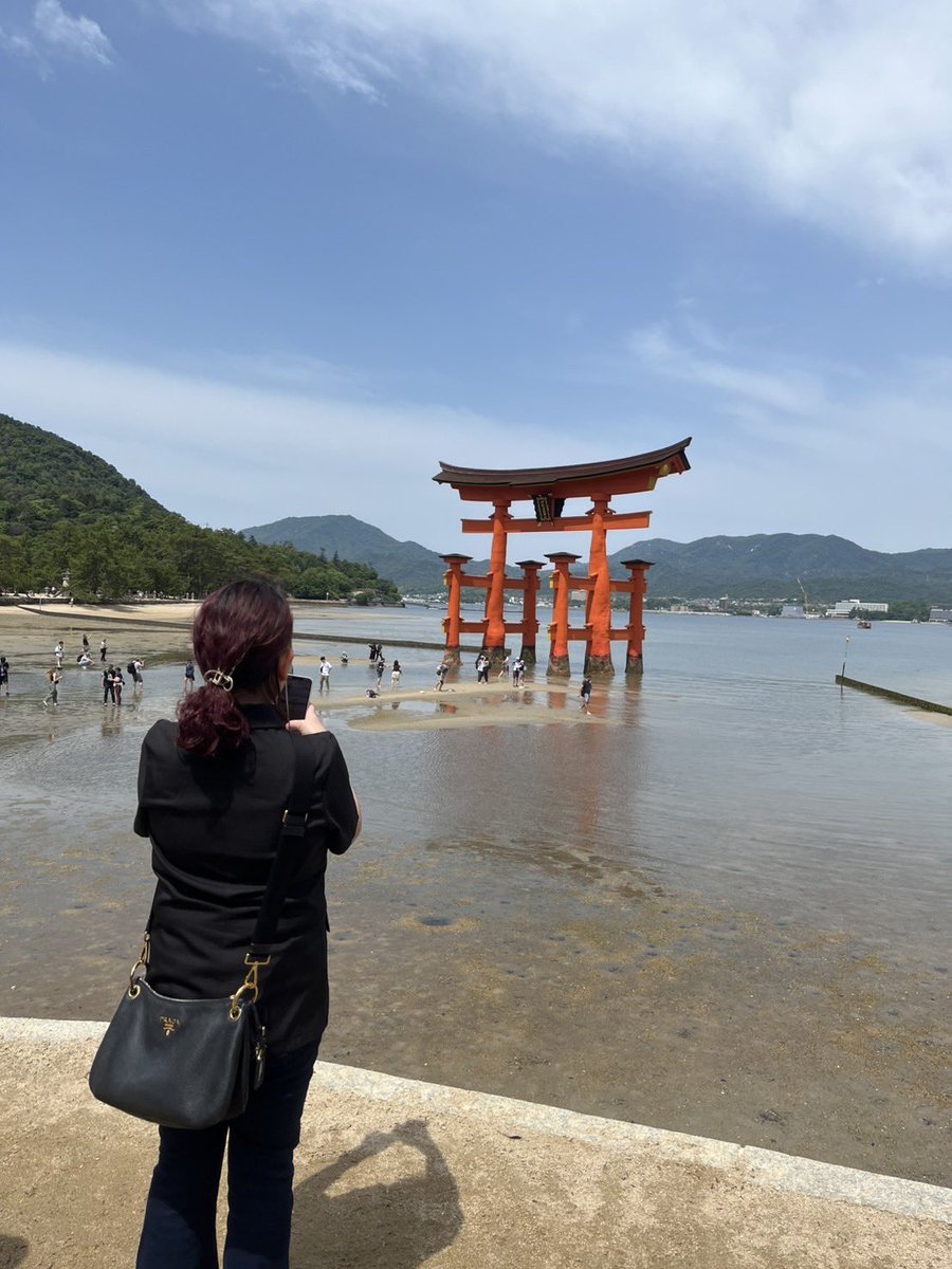 ゆかりん tweet media