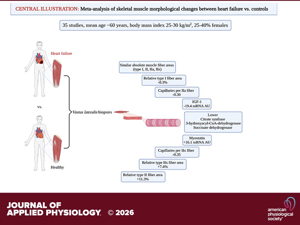 Journal of Applied Physiology tweet media