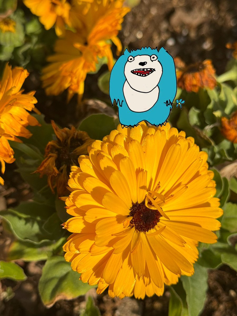 𝐀𝐫𝐞𝐤𝐢¨̮💙サンダー大王 （別名 ヘレニズム） tweet media