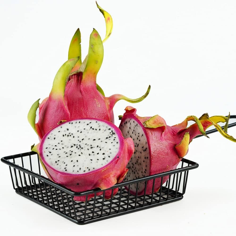 آنسه ودق tweet media