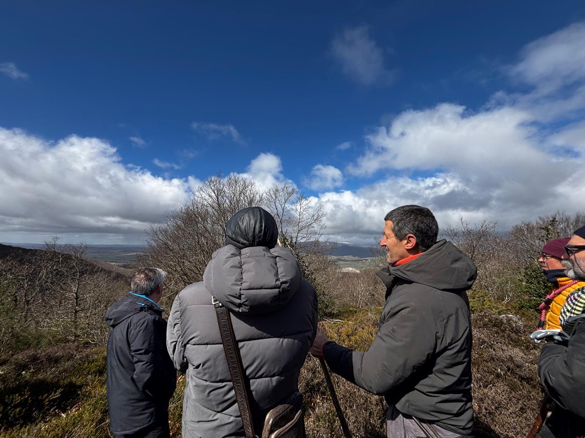 Cantabristas tweet media