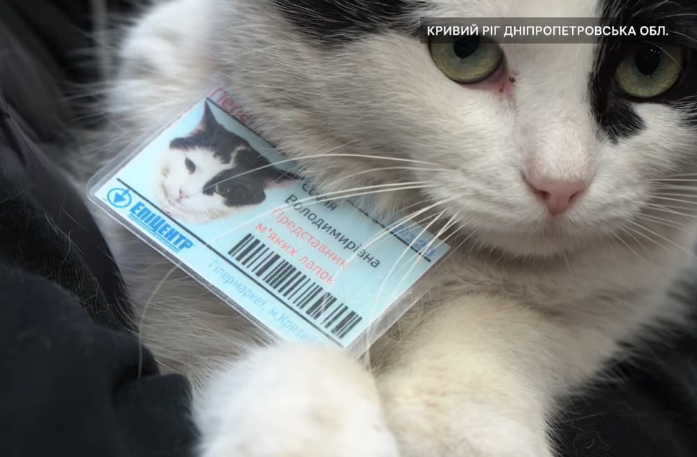 Johnny Talk tweet media